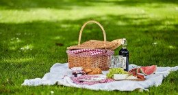 Családi Piknik