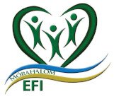 Világ Gyalogló (Hó)Nap