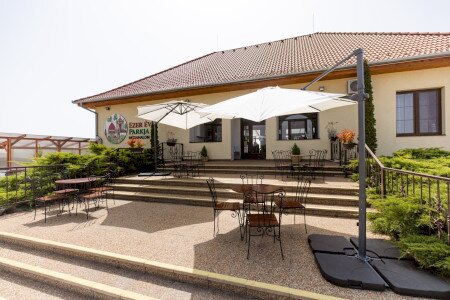 Zöld fű, napsütés - A majális színes forgataga