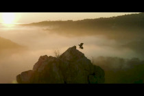 Fenntarthatósági kisfilm