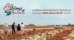 Szőregi rózsaünnep
