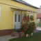 udvar_4