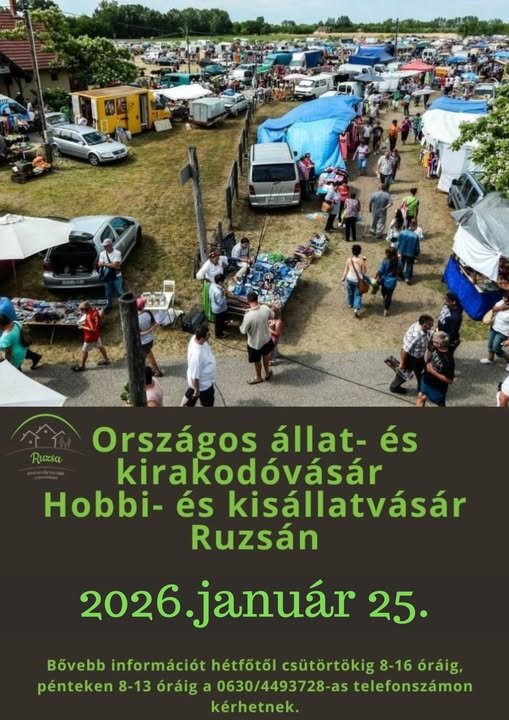 Országos állat és kirakodó vásár