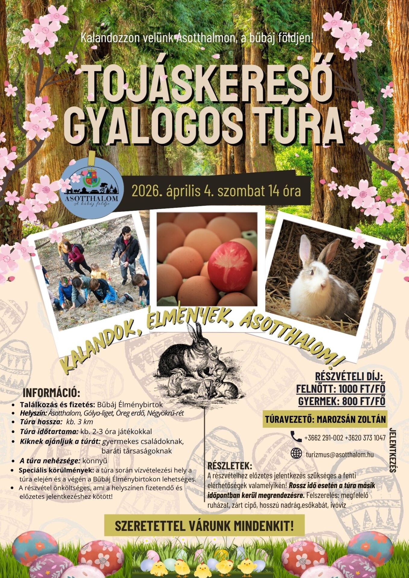 Tojáskereső gyalogos túra plakát